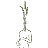 The Birth Sling by Dr Jess Michaels® logo
